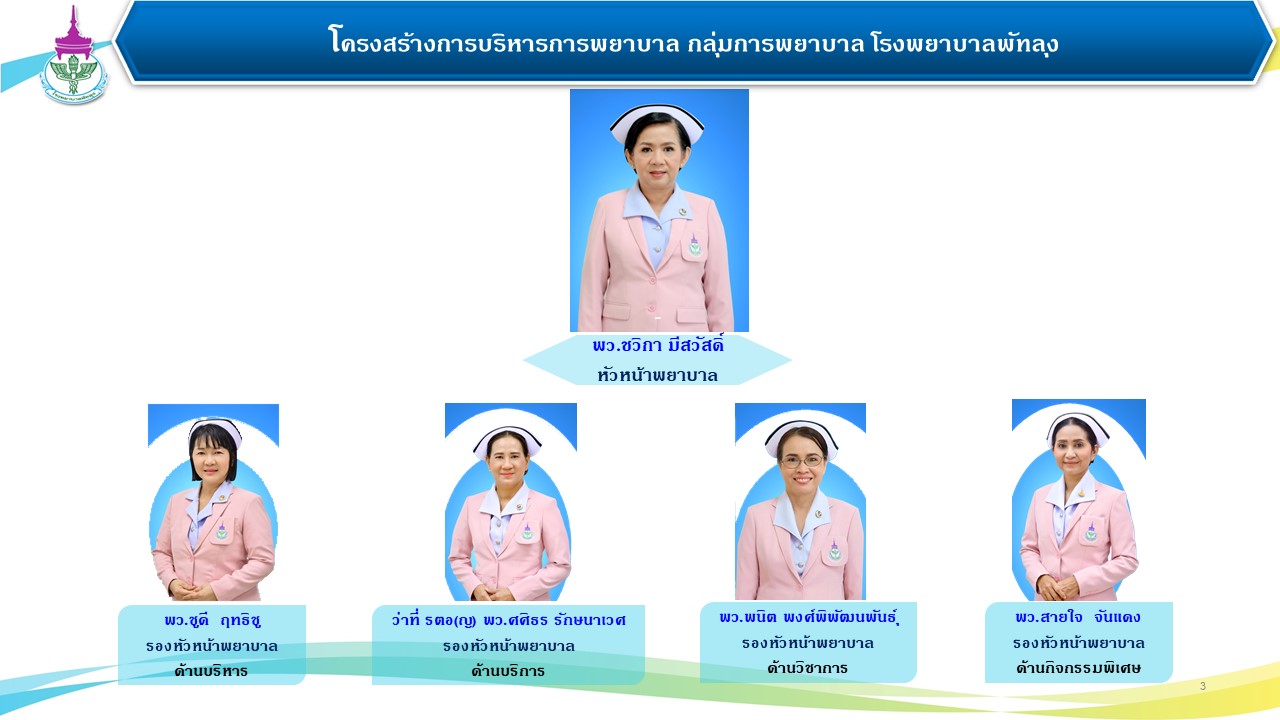 โครงสร้างบริหารกลุ่มการพยาบาล